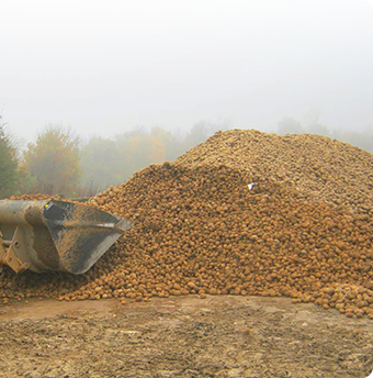 chiffre cle - nombre d'haderent - prix des pommes de terre - cooperative Vecquemont